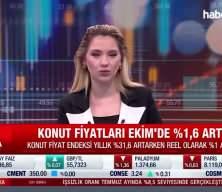 Konut Fiyat Endeksi ekimde aylık bazda yüzde 1,6 arttı