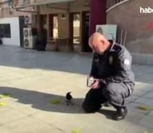  Polis ile saksağanın dostluğu görenleri hayrete düşürdü