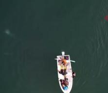 Sapanca Gölü'ndeki endişelendiren kabarcıklar su altından ve havadan görüntülendi