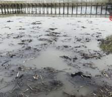 Sapanca’nın ardından Efteni Gölü’nde de gizemli fokurtu