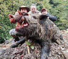 Trabzon'da bir grup avcı avladıkları domuzun büyüklüğünü görünce şaştı kaldı