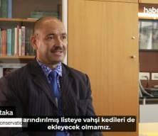 Yeni Zelanda 2050’ye kadar 2,5milyon vahşi kedi itlaf edecek