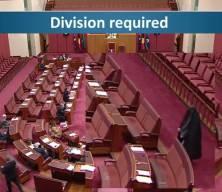 Avustralyalı senatör Hanson kara çarşafla Senato’ya girip yasak çağrısı yaptı