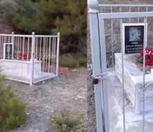 Çocuk mezarı diyerek yaklaştı köpek mezarı çıktı: Ruhuna Fatiha