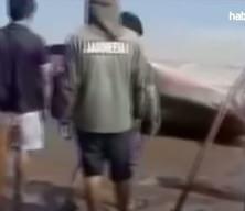 Endemik balık üç dakikada fileto oldu!