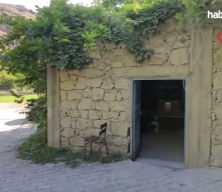 Erzurum'da dededen toruna ilginç miras: Tam bir asırlık!