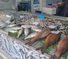 Hamsi fiyatları 100-150 TL'ye geriledi