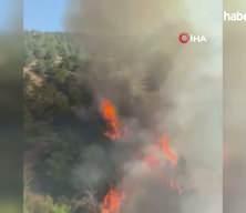 Hatay’ın Belen ilçesinde orman yangını