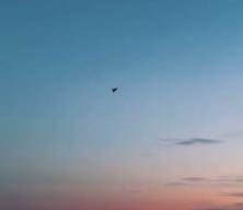 İşte Türkiye savunma sanayisinin mini İHA'ları!