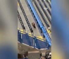 Şampiyonlar Ligi maçı öncesi 'Tilki' paniği!