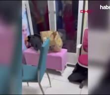 Sultangazi‘deki düğün salonunda gizli kamera skandalı: Sahibi gözaltına alındı