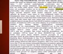 Gazeteci Bahar Feyzan'ın İBB İddianamesinde dikkat çektiği detaylar mide bulandırd