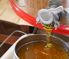 Bakanlık bal sahteciliğini deşifre etti!