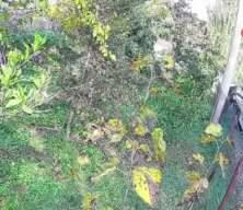 Çekiciye yüklenirken geri viteste unutulan araç rampadan uçtu: 2 yaralı