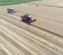 Çiftçilere 1,1 milyar liralık tarımsal destekleme ödemesi bugün yapılacak