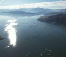 Denizi olmayan Tokat’ın somonları dünya sofralarına ulaşıyor