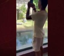 Hayvanat bahçesindeki korkunç anlar: Aslanın bulduğu kafese girdi