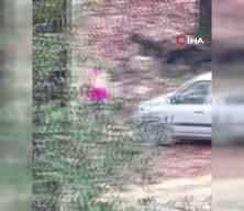 Ormanda kadını döven şahıs kaçamadan yakalandı