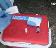  Şapın vurduğu üreticiler süt fiyatında güncelleme istiyor