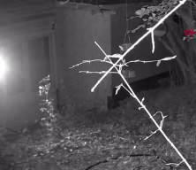 Tilkiyi elleriyle besledi, o anlar görenleri şaşırttı