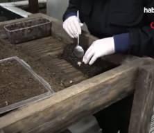 Trabzon'dan dünyaya 'Googlis'