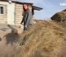 İstanbul'dan köyüne dönüp hayvancılığa başlayan kadın 3 yılda sürüsünü 4'e katladı