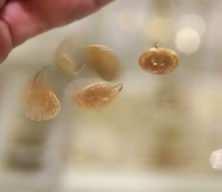 Yozgat'ta keşfedilen altının değeri 4 milyar dolar