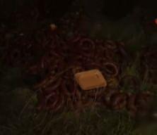 Yüzlerce kilo et ürünü boş araziye atıldı