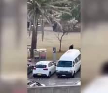 Silah tecrübesi olmayan manav Avustralya'da kahraman oldu: Çıplak elle destan yazdı!