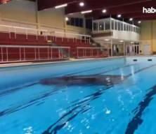 Fransa'da 'yok artık' dedirten kaza! Frenle gazı karıştırdı, arabayla havuza u&ccedil;tu