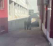 Adana'da FETÖ firarisi ihraç icra müdürü kıskıvrak yakalandı