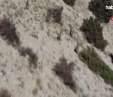 Avladığına bin pişman oldu!