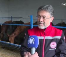 Bakan Yumaklı açıkladı: Hayvanlar sahiplerine ulaşıyor