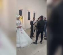 Damadın arkadaşından 100 bin TL’lik Anadolu çoban köpeği düğün hediyesi