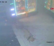 Diyarbakır'da markete el bombası atılma anı kamerada