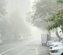 Diyarbakır'da uçak seferlerine sis engeli