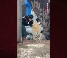 Gazze'de şiddetli yağış nedeniyle binlerce çadır su altında kaldı