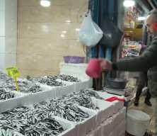 Hamsinin fiyatı 200 TL'ye çıktı
