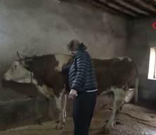 Hem besici hem muhtar! 8 erkek adayı geride bıraktı