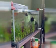 Japonya’da 6.7 büyüklüğünde deprem meydana geldi, tsunami uyarısı yapıldı