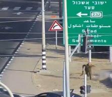 Mossad'ın yeni patronu Lofman İsrail’de Kassam mücahidlerinden böyle kaçtı! 7 Ekim’den yeni görüntü