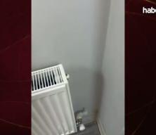 Petek tamirine giden usta hayatının şokunu yaşadı: Tesisat duvara saplanmış borulardan ibaret çıktı