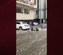 Suudi Arabistan'da şiddetli yağışlar sele yol açtı