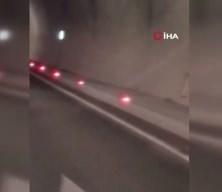Tünele giren 3 ayı az kalsın kazaya neden oluyordu