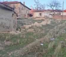 Bağlı k&ouml;pek &ccedil;ocuklara saldırdı: 14 yaşındaki &ccedil;ocuk ağır yaralandı