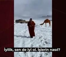 Beyaz rahmet Arabistan'a yağdı! İşte b&ouml;lge halkını şaşırtan kar yağışı