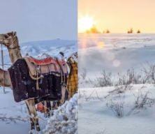 Beyaz rahmet Arabistan'a yağdı! İşte b&ouml;lge halkını şaşırtan kar yağışı