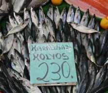 Havalar soğudu Elazığ'da balığa ilgi arttı!