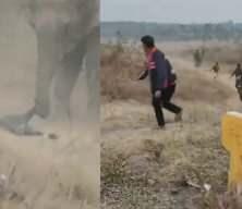 Hindistan&rsquo;da fil s&uuml;r&uuml;s&uuml; katliam yaptı: 4 &ouml;l&uuml;, &ccedil;ok sayıda yaralı var