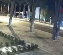 İzmir'de feci kaza! Otomobilin &ccedil;arptığı motosikletli hayatını kaybetti!